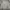 Feltics Casual Sweater Pria Gray