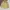 Casual Harrington jacket Pria khaki photo 1