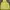The North Face Casual Hoody Pria yellow photo 1