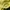 The North Face Casual Hoody Pria yellow photo 4