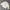 Minimalist Puffer Jacket Pria White
