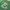 Vintage Streetwear T-shirt Kids green photo 4