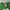 Vintage Streetwear T-shirt Kids green photo 3