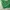 Vintage Streetwear T-shirt Kids green photo 5