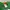 Vintage Streetwear T-shirt Kids Green