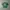Vintage Streetwear T-shirt Kids green photo 1