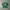 Vintage Streetwear T-shirt Kids Green