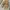 ZARA Luxury Minimalist Flat Wanita gold photo 3