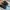 Puma Indie Casual Sneakers Pria black photo 4