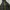 Columbia Gorpcore Windbreaker Pria Black