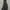 Columbia Gorpcore Windbreaker Pria black photo 4