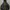 Columbia Gorpcore Windbreaker Pria black photo 1