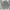 Sportswear Casual Windbreaker Pria tan cream photo 2
