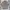 Sportswear Casual Windbreaker Pria tan cream photo 1