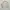 Polo Ralph Lauren Vintage Casual Harrington jacket Pria tan photo 6