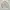 Polo Ralph Lauren Vintage Casual Harrington jacket Pria tan photo 4