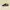 VANS Streetwear Casual Sneakers Pria white black photo 1