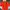 Nike Streetwear Sportswear Puffer Jacket Wanita Red Orange