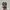 Salomon Sportswear Sneakers Pria multicolor photo 5