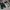 Nike Vintage Y2K Sneakers Pria white photo 1
