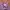 Sportswear Casual Track jacket Wanita purple photo 3