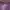 Sportswear Casual Track jacket Wanita purple photo 4