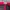 Vintage Streetwear Hat Pria red black photo 5