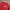 Fila Streetwear Casual T-shirt Pria red photo 4