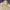 Coach Luxury Casual Parka Pria cream photo 1