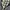 Dunlop Vintage Harrington jacket Pria green gray photo 6