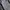 Dunlop Vintage Harrington jacket Pria green gray photo 5