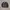Dunlop Vintage Harrington jacket Pria green gray photo 2