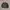 Dunlop Vintage Harrington Jacket Pria Green Gray