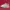 Adidas Sportswear Pria white photo 1