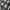 Vintage Luxury Cardigan Pria tan black photo 4