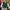 Streetwear Casual Bomber jacket Pria multicolor green photo 1