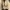 Ingni Vintage Luxury Fur coat Wanita cream photo 4