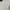 Ingni Vintage Luxury Fur coat Wanita cream photo 3