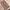 Vintage Streetwear Casual pants Pria tan brown photo 3