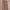 Vintage Streetwear Casual pants Pria tan brown photo 2