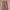 Vintage Streetwear Casual Pants Pria Tan Brown