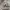 VANS Streetwear Sportswear Bomber jacket Pria multicolor photo 6