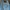 Polo Ralph Lauren Vintage Casual Jeans Pria blue photo 4