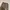 Lee Vintage Casual pants Pria brown photo 5