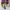 Adidas Streetwear Casual Sneakers Wanita multicolor photo 2