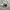 Nike Streetwear Sportswear T-shirt Pria white photo 2
