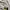 Nike Streetwear Sportswear T-shirt Pria white photo 6