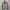 AMI Paris Luxury Casual Sweater Pria cream photo 1