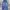 Japanese Brand Vintage Streetwear Jeans Pria Navy Blue