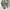Onitsuka Tiger Streetwear Casual Sneakers Wanita tan photo 2